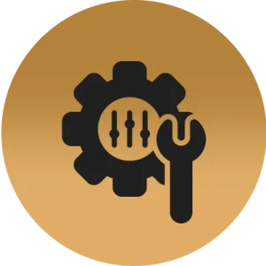Customized Software